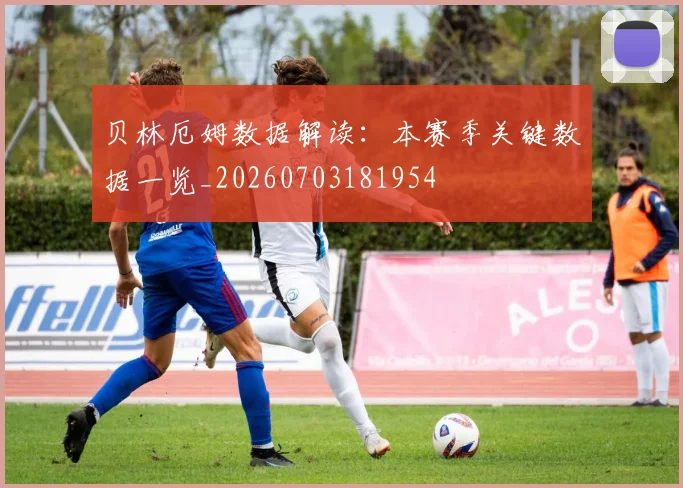 贝林厄姆数据解读:本赛季关键数据一览_20260703181954