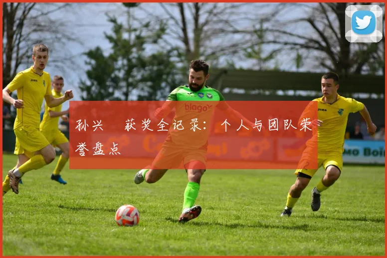 孙兴慜获奖全记录:个人与团队荣誉盘点